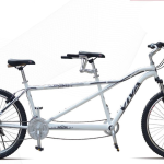 Viva 2-Person Bike