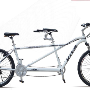 Viva 2-Person Bike