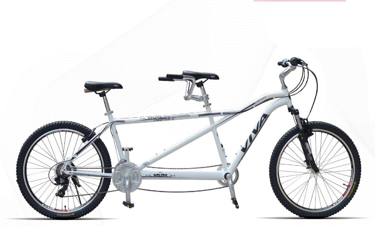 Viva 2-Person Bike